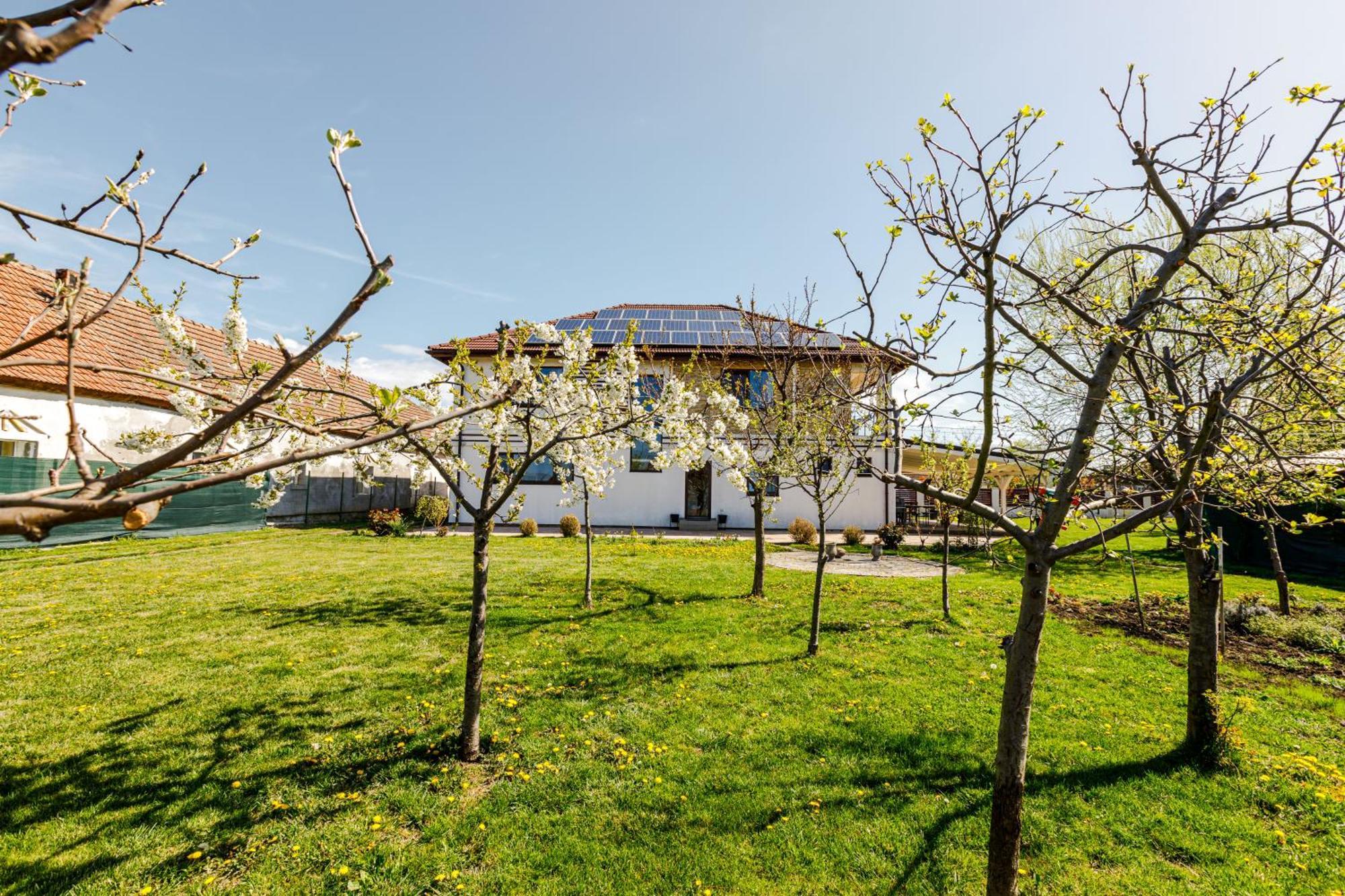 Отель Gasthaus Sacalaz Тимишоара Экстерьер фото